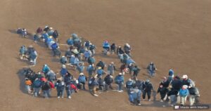 Picture of Human Trafficking Victims being herded across a boarder.